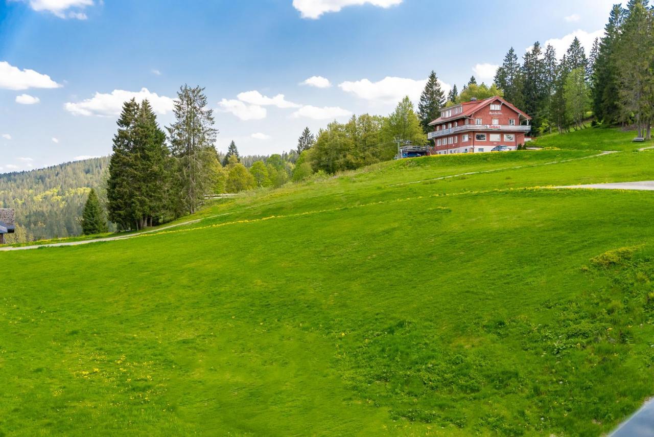 Auerhuhn Apartment Feldberg  Exterior photo