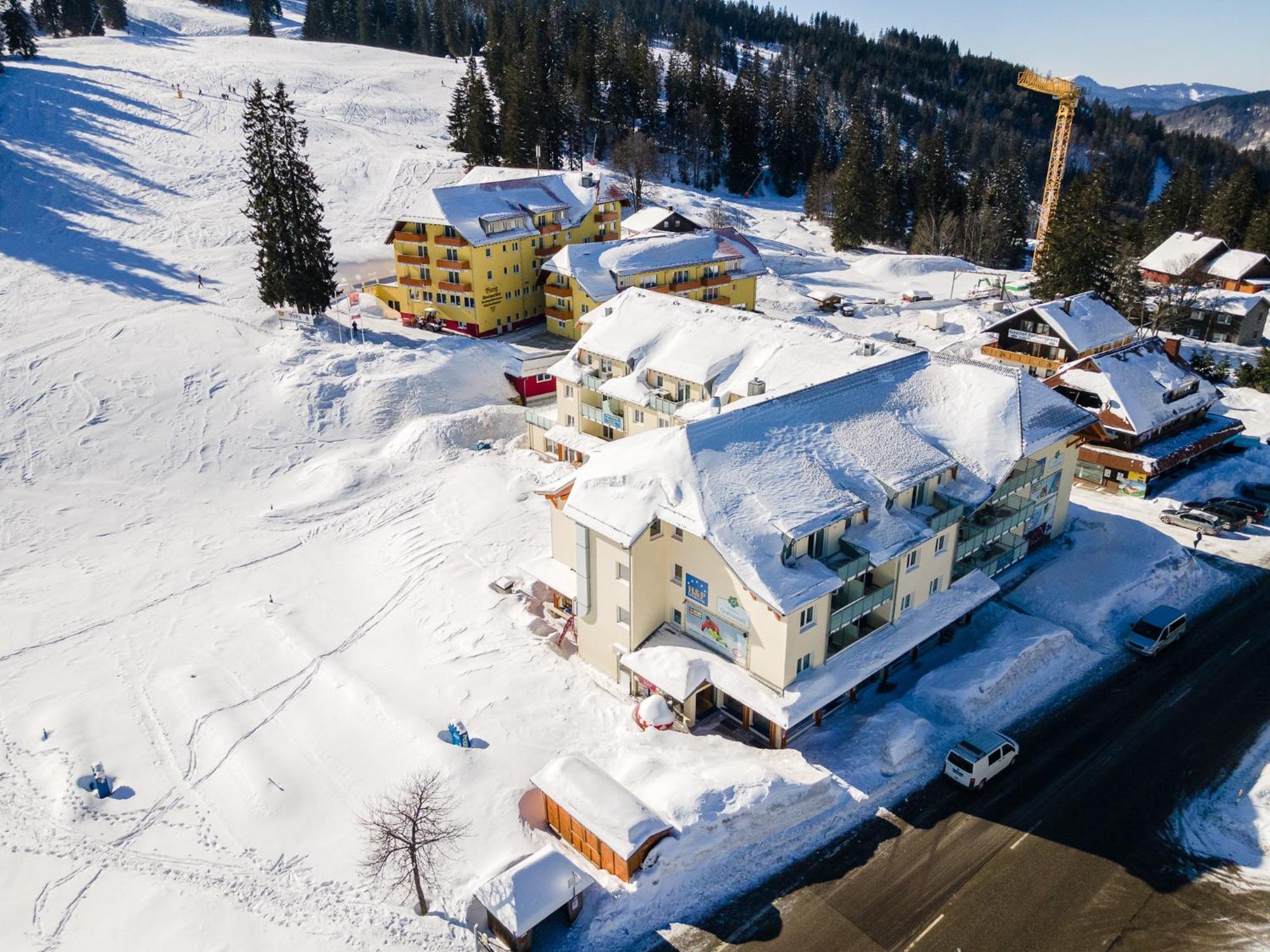 Auerhuhn Apartment Feldberg  Exterior photo